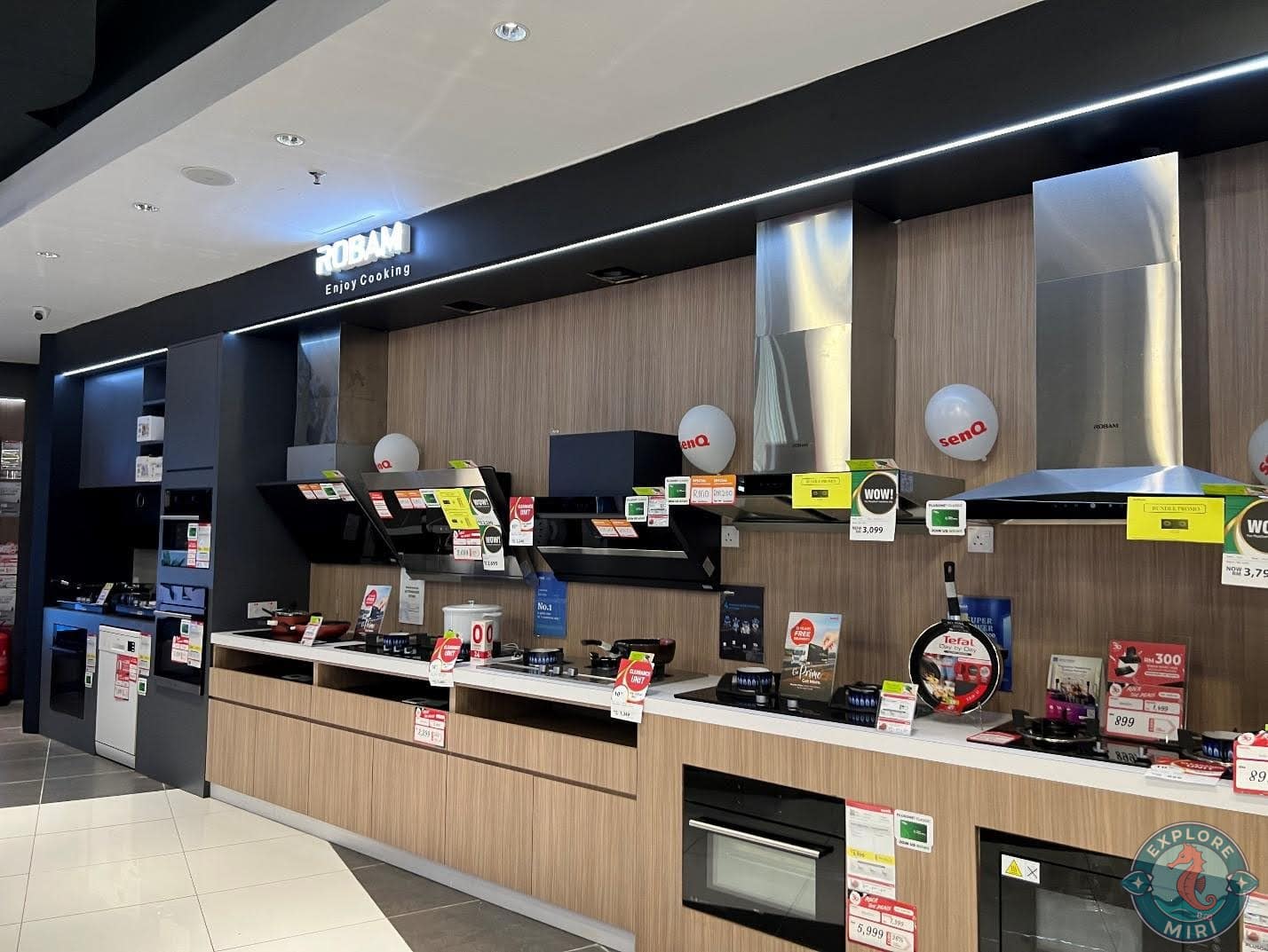 Gas Stoves, Induction Cookers and Kitchen Chimneys