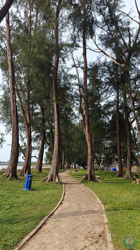 Tanjong Lobang Beach Picnic Area 1