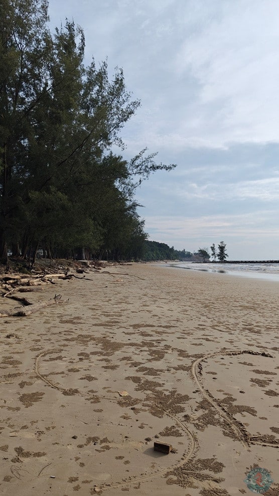 Tanjong Lobang Beach View 3