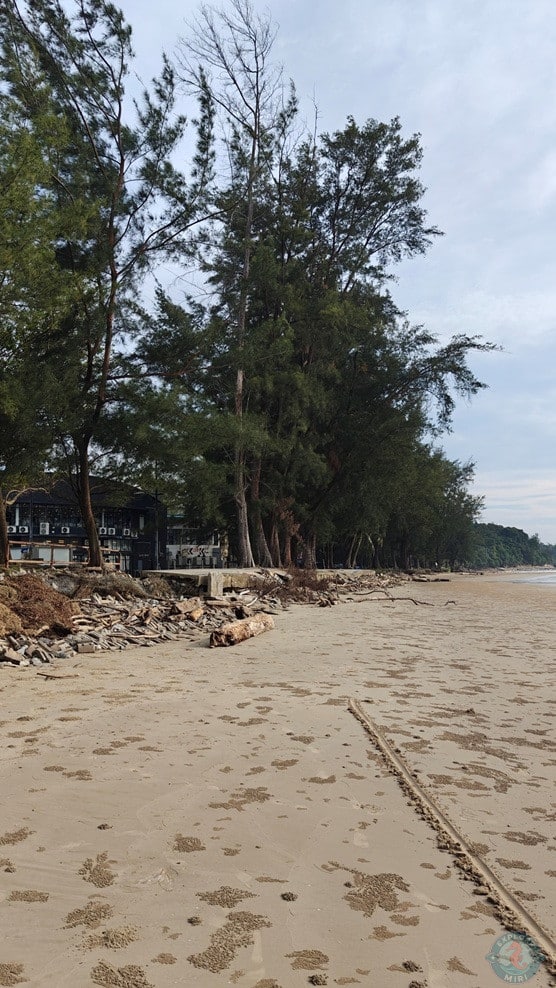 Tanjong Lobang Beach View 7
