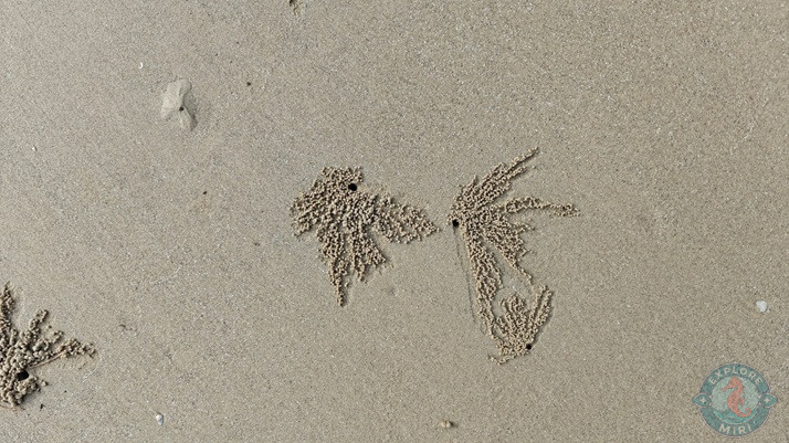 Tanjong Lobang Beach View 8