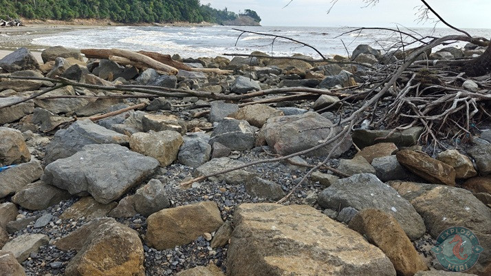 Tanjong Lobang Beach Weathered Pier Overgrown Plants 1