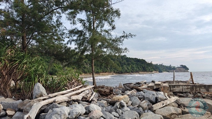 Tanjong Lobang Beach Weathered Pier Overgrown Plants