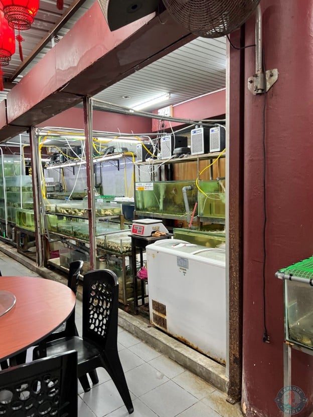 I Love Chinese Food facade