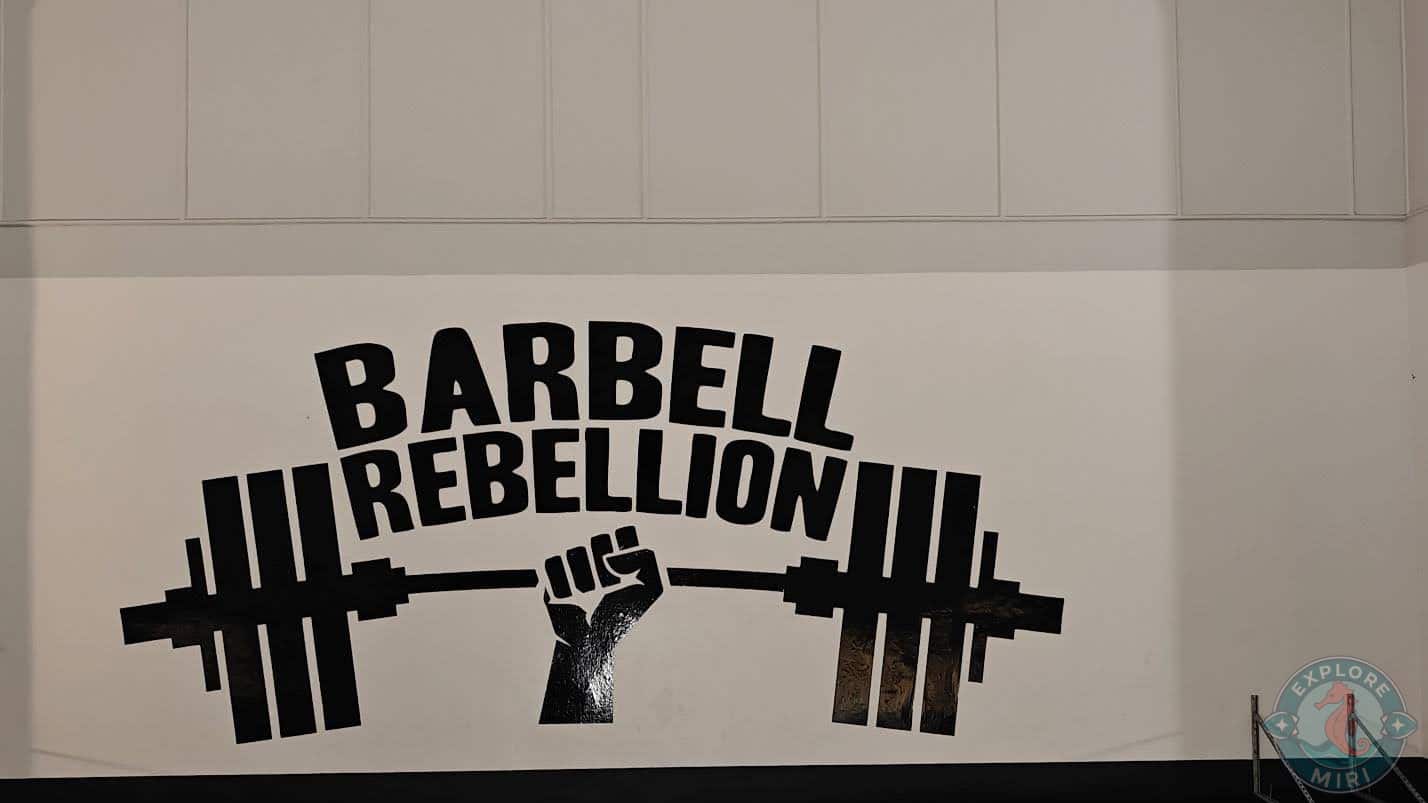 barbell rebellion