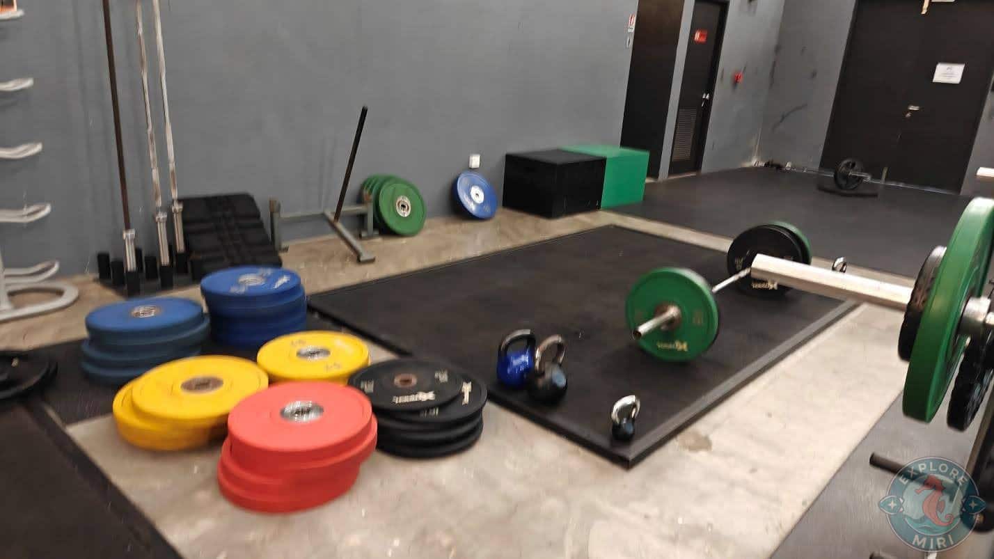 different colors of weights