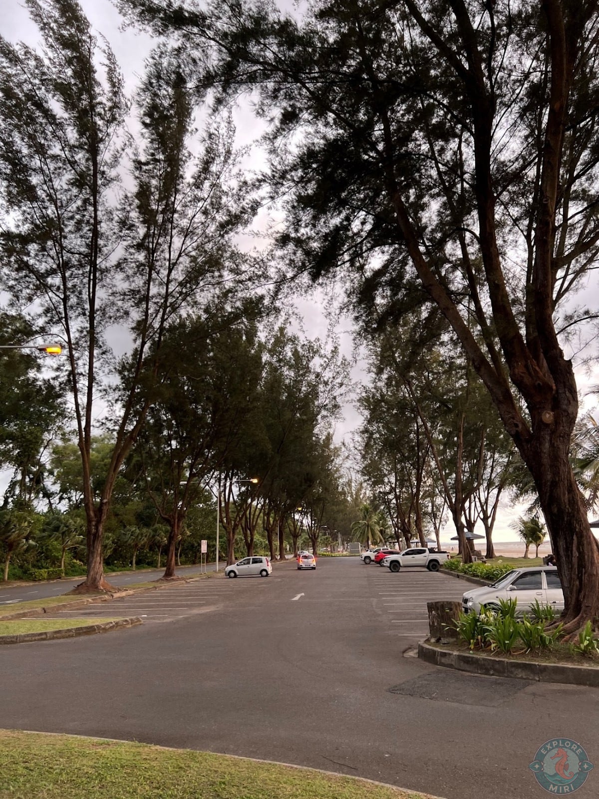 parking lot was well organized and clean