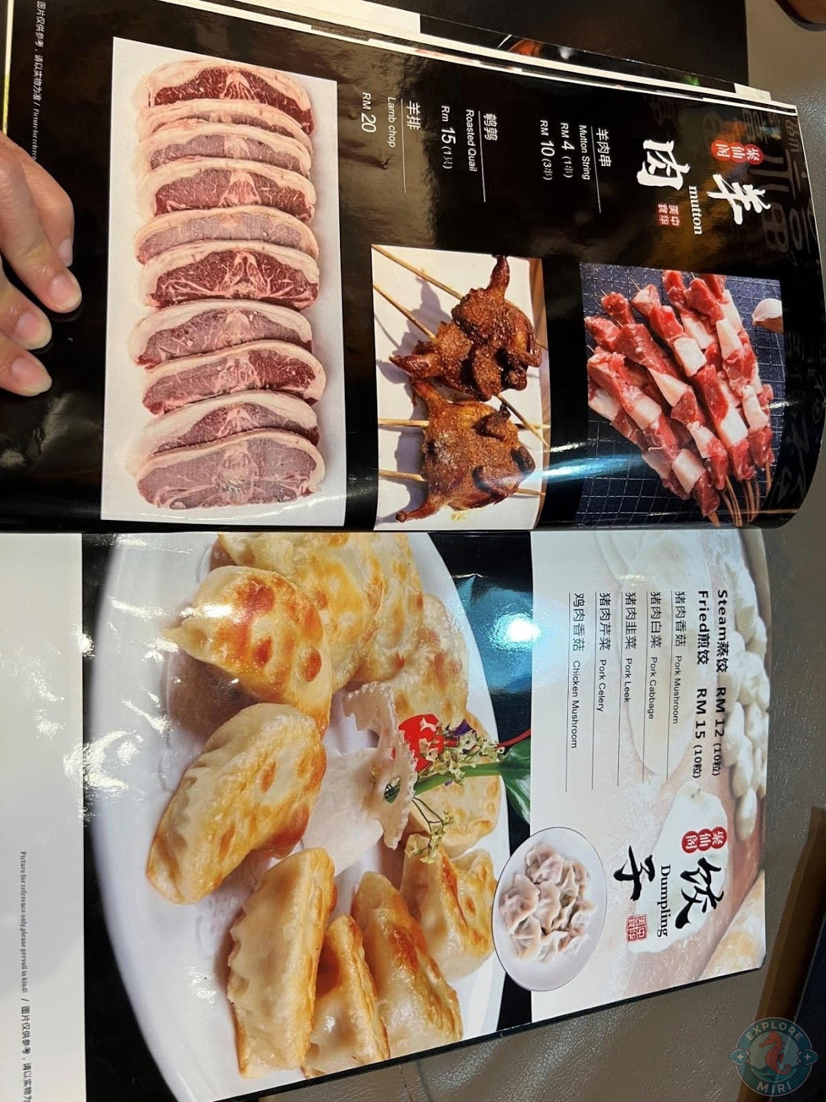 pork and chicken dumplings