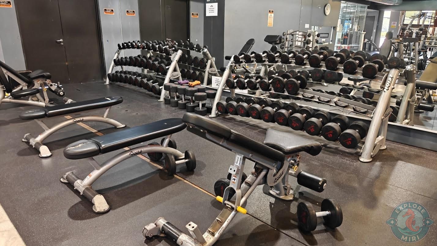 racks of free weights