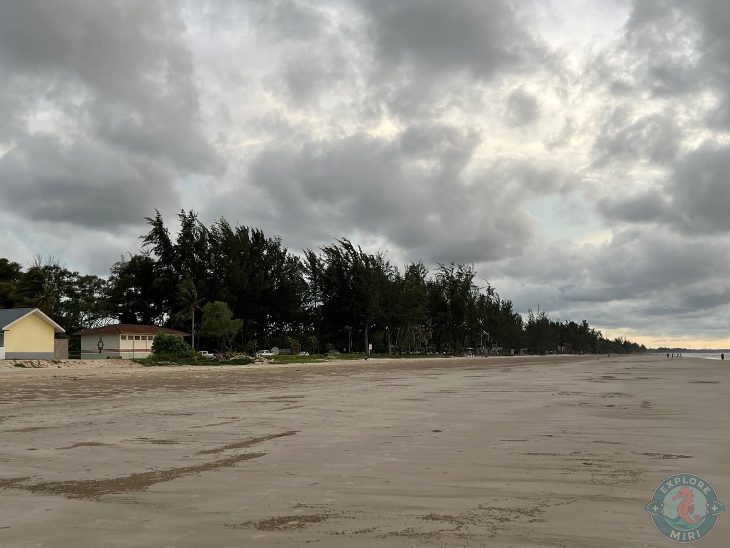 sand was wet, the wind was light and cold with distant trees swaying around