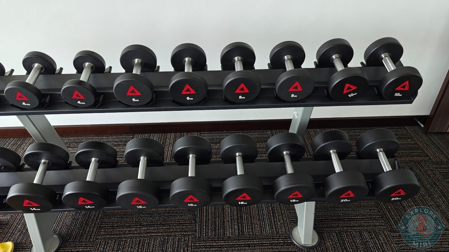 weights were arranged neatly and organized properly