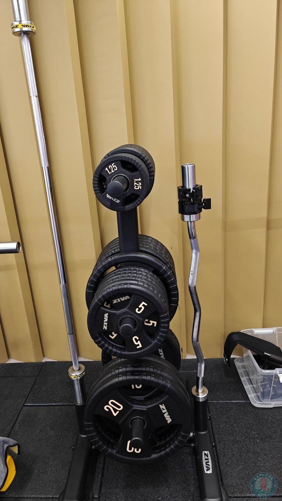 Extra weights could easily be fit onto the bars