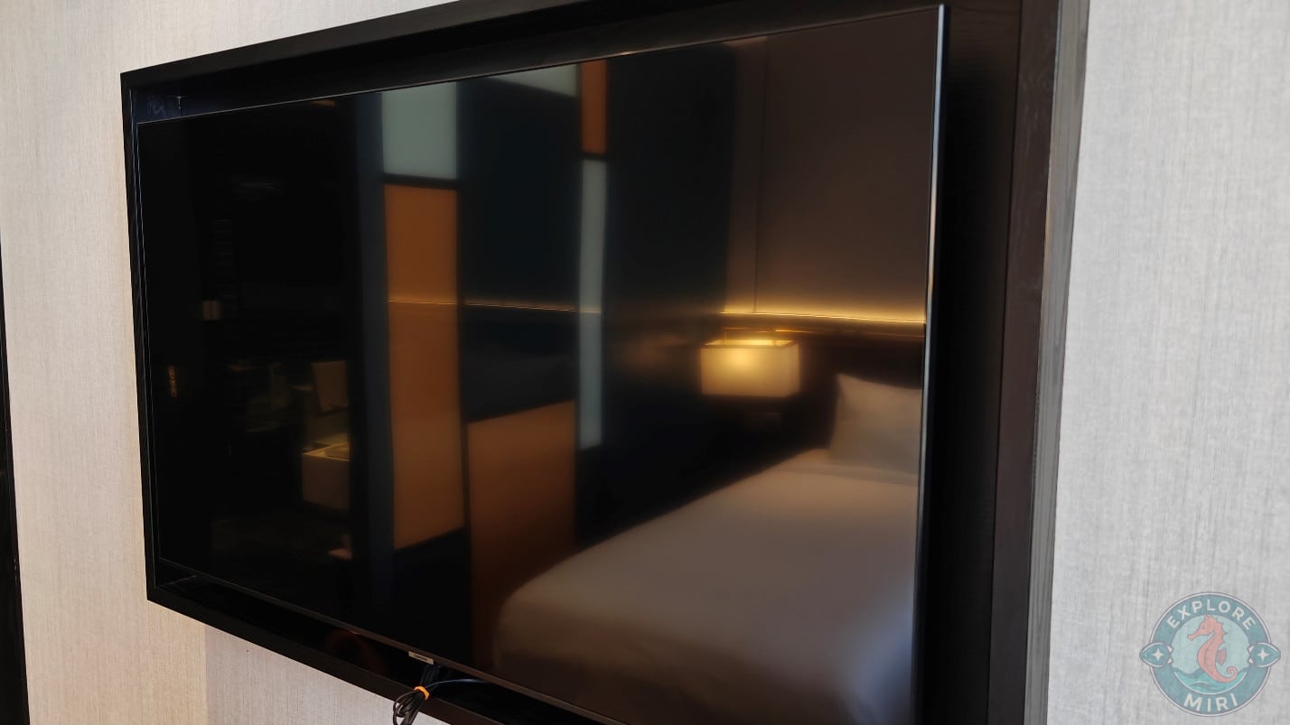 TV screen was really big and expensive