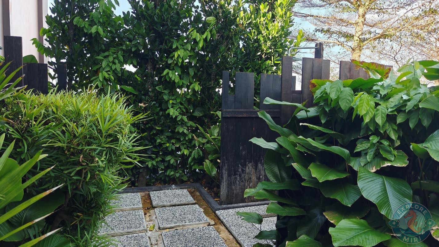 little garden with lots of tropical plants and flagstones