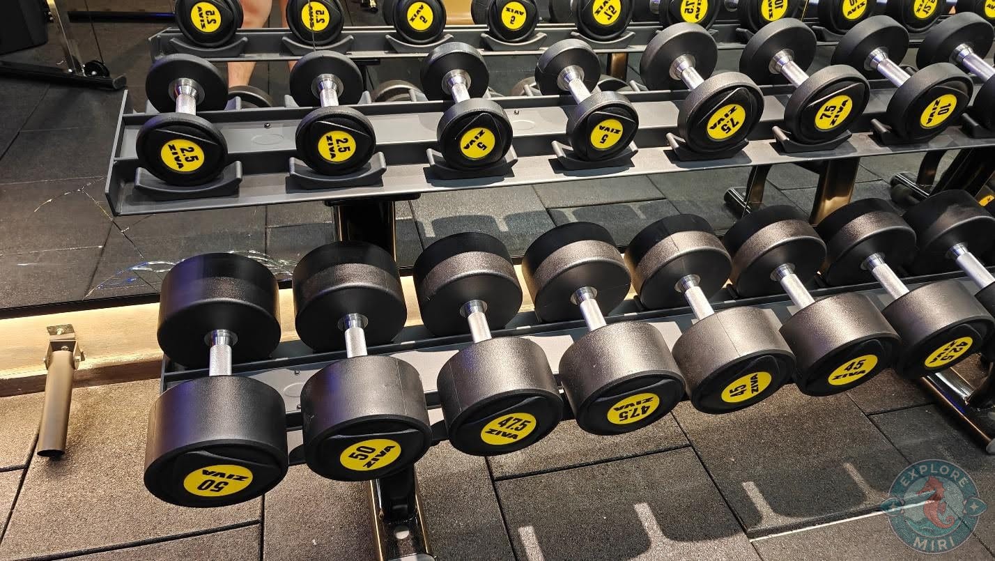 rows of dumbbells of all sizes and weights