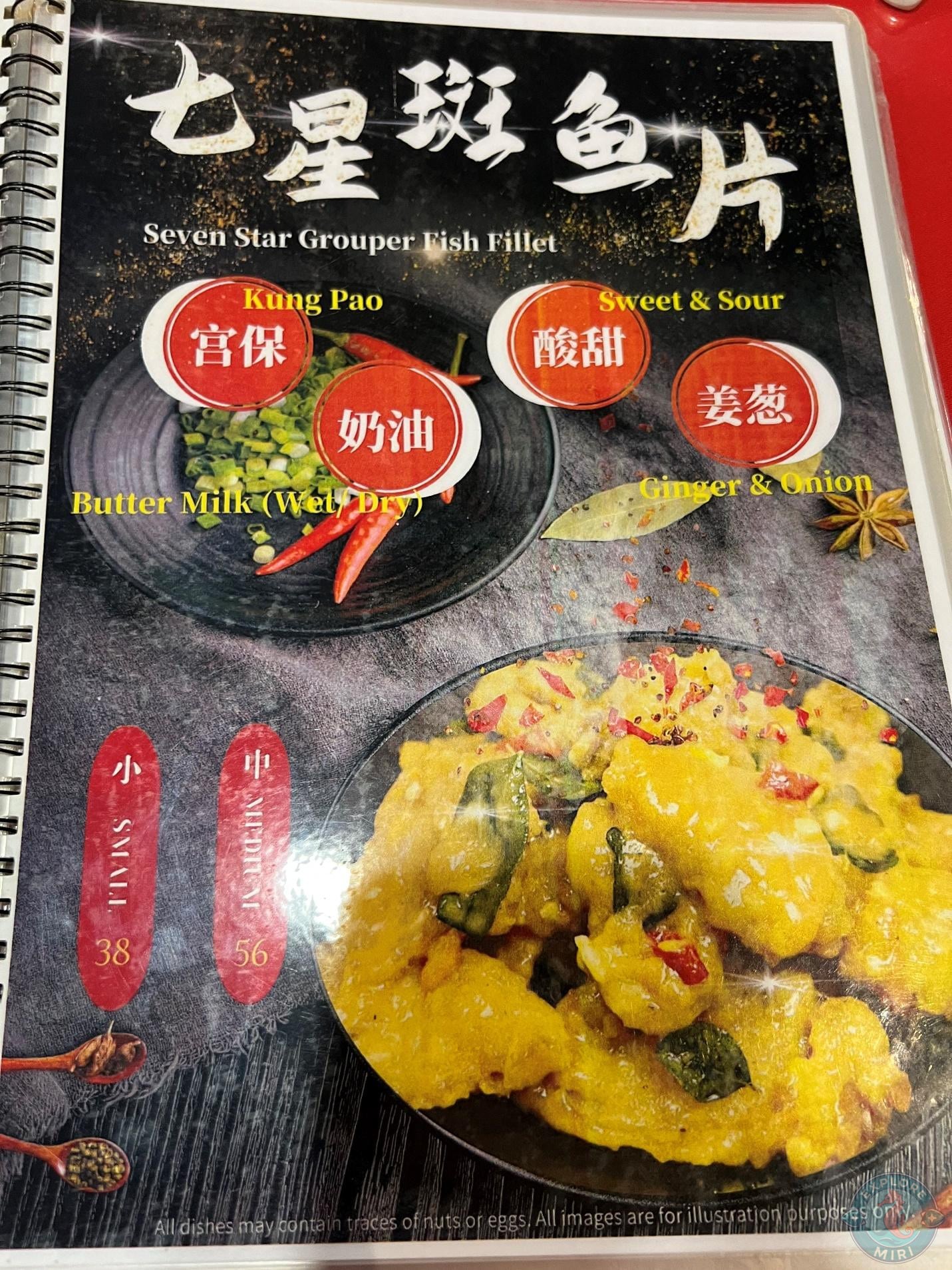 seven star grouper fish fillet