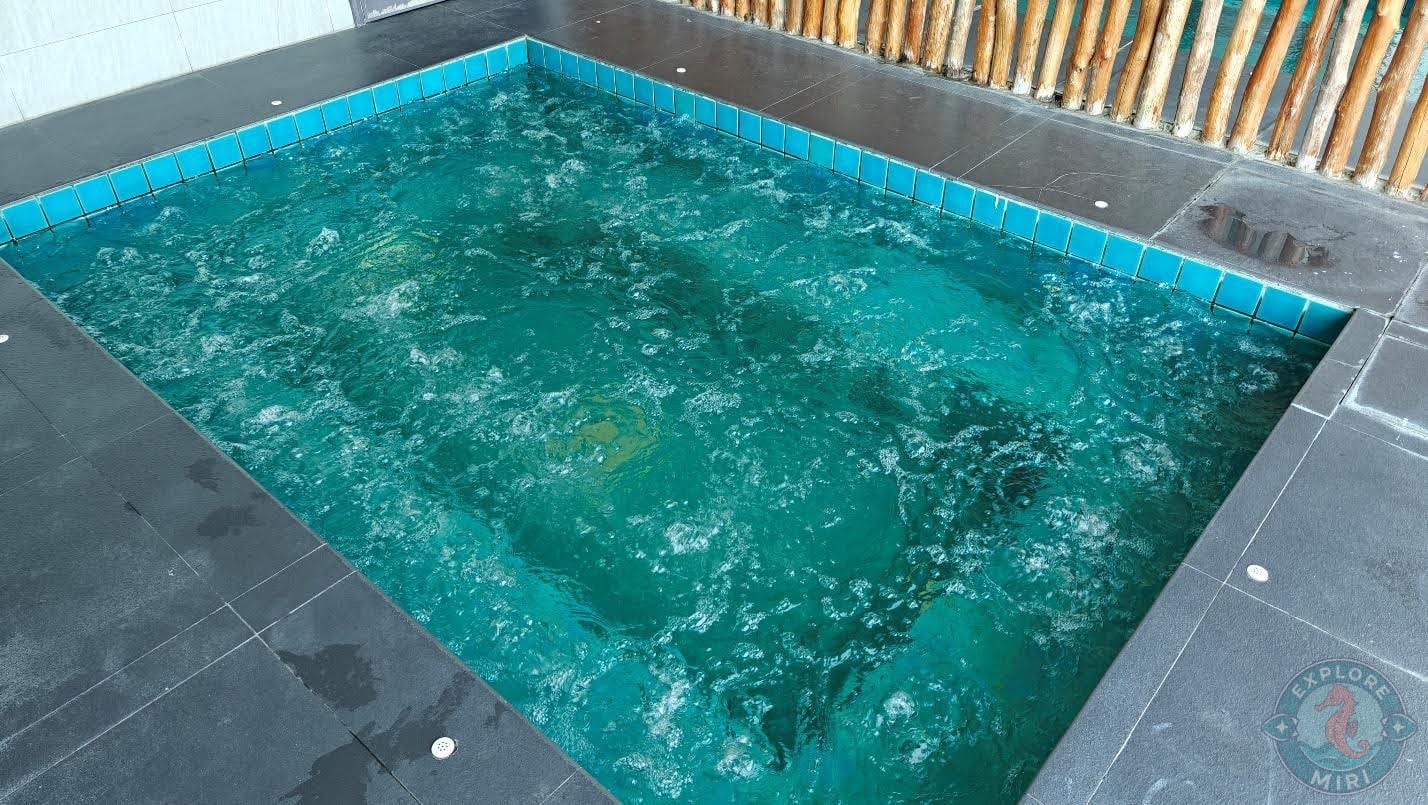 water bubbled and gushed